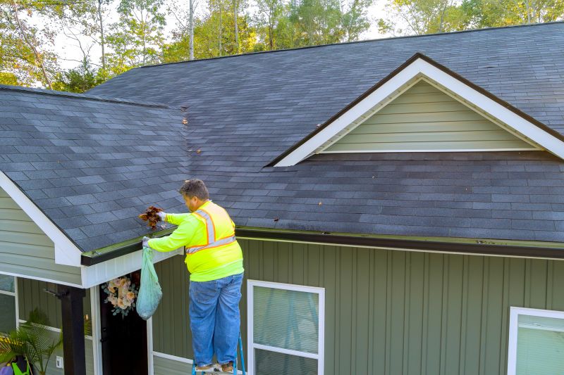 Residential Gutter Service